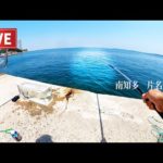 ［新師崎］延べ竿450で釣れすぎ🔥🔥　　※数釣り、時間ない方必見。