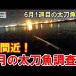 夏間近！自宅待機明けでタチウオ釣り。6月1週目の太刀魚釣り。