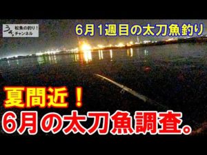 夏間近！自宅待機明けでタチウオ釣り。6月1週目の太刀魚釣り。