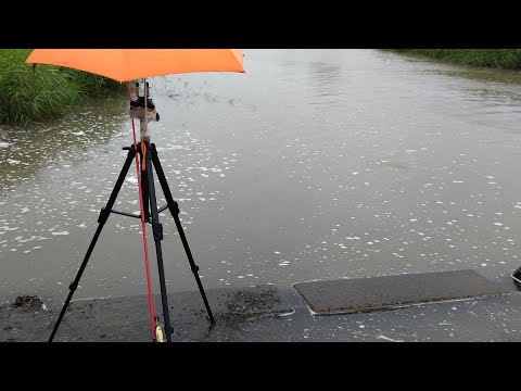 【ナマズ釣りレインバトル】雨天戦士