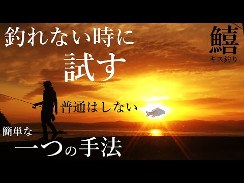 【キス釣り】一級ポイントで全然釣れないから「ある事」試したら結果爆釣だった!