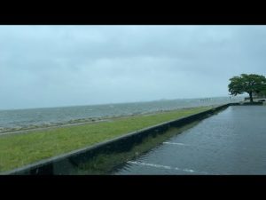 琵琶湖バス釣りライブ、、、無理ー！w