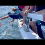 【大漁】びすけのゴハンを釣りにきたら最後にカイブツが現れた・・・！！【衝撃の最終話】