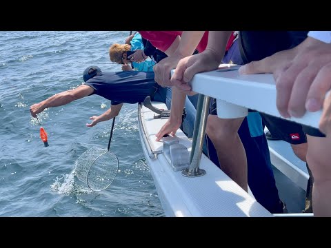 【大漁】びすけのゴハンを釣りにきたら最後にカイブツが現れた・・・！！【衝撃の最終話】