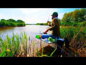 支流と本流のぶつかりに４０オーバーが潜む！！！【へらぶな釣り】