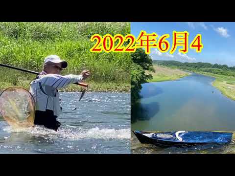 2022年那珂川の鮎釣り#2