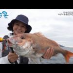 【釣り百景】#439 春の愛媛県松山沖 マダイの宝庫で鯛ラバゲーム