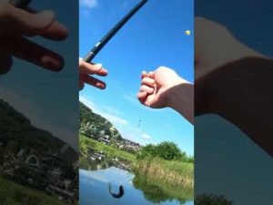 【釣りぶら散歩。】あきる野市 秋川で小物釣り。【淡水】#shorts