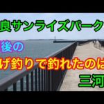 吉良サンライズパーク 雨後の投げ釣りで釣れたのは？