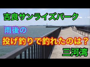 吉良サンライズパーク 雨後の投げ釣りで釣れたのは？