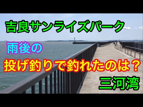 吉良サンライズパーク 雨後の投げ釣りで釣れたのは？