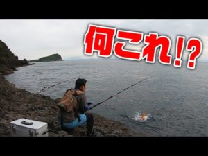 磯泊りでクエ釣り開始‼ガチタックルで大物を狙います‼