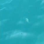 2022.5.17 沖五目釣り‪🎣‬