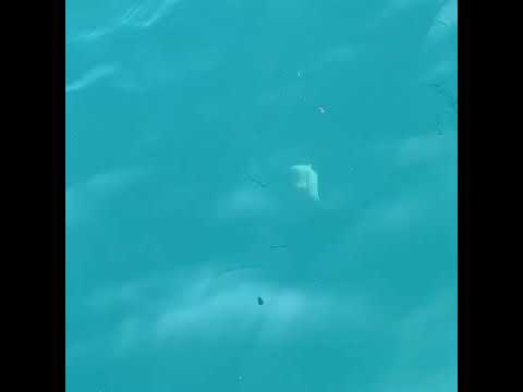 2022.5.17 沖五目釣り‪🎣‬