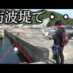 防波堤で釣りをしてたらまさかの展開にwwww