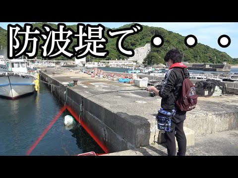 防波堤で釣りをしてたらまさかの展開にwwww