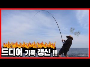 마도삼촌 개인 기록 최대어 손맛 죽여주네요 ㅋㅋㅋ //対馬釣り