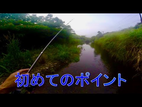 近所の川でチーカマ使って釣り