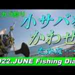 【遠投カゴ釣り】この季節、どうやって小サバをかわそうか?　試行錯誤の釣り日誌　BOZUはまぬがれました