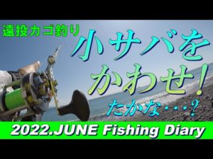 【遠投カゴ釣り】この季節、どうやって小サバをかわそうか? 試行錯誤の釣り日誌 BOZUはまぬがれました