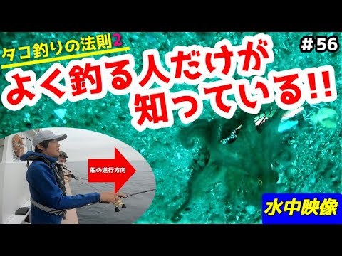 タコにエギを抱かせるには？【タコ釣り】【水中映像】【明石タコ】【ゴーフィッシュカム】