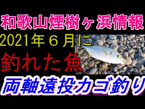 煙樹ヶ浜釣り情報・特別編