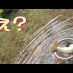 郡上長良川支流【渓流釣りルアー】上達への道♪最強ルアーかもしれん！