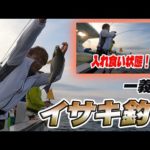 【一義丸】６月解禁！イサキ釣りに初めて行ったら入れ食い状態でした！