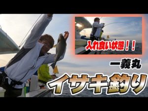 【一義丸】６月解禁！イサキ釣りに初めて行ったら入れ食い状態でした！