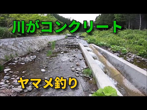 里川にヤマメ釣り行く 驚いた！・コンクリートの川に変貌していた / フライフィッシング   北海道 / Fly Fishing