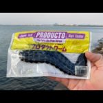 キャタピーの入魂できました！夜の琵琶湖バス釣りライブ！