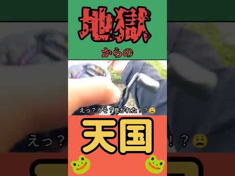 【バス釣り】ハラハラした〜😅#バス釣り#五三川#フロッグ#blackbass#fishing#frog#japan#frogman#養老水系