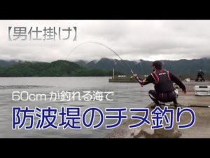 【チヌ釣り】60cmが釣れる海域で防波堤チヌ釣り