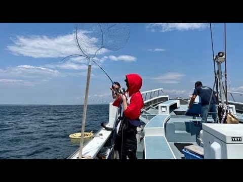【初の海釣り】びすみるのゴハンを釣りに行った結果・・・