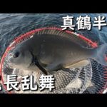 【磯釣り】真鶴地磯 鉄棒でメジナ釣り 尾長グレを求めて 後編 MANCING MANIA JAPAN