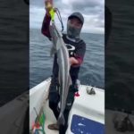 今日の釣果はコバンザメ！！#fishingislife #コバンザメ #remora #船釣り #fishing #石垣島 #石垣島のかんなさん