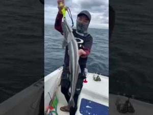 今日の釣果はコバンザメ！！#fishingislife #コバンザメ #remora #船釣り #fishing #石垣島 #石垣島のかんなさん