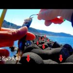 穴なら妻が偶然拾った餌が最強  穴釣りするリアルな夫婦  #海釣  #夫婦 #穴釣り