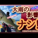 【今日のナンコ！2022.6.8】大雨の影響ナシ！【琵琶湖バス釣り】