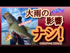 【今日のナンコ!2022.6.8】大雨の影響ナシ!【琵琶湖バス釣り】