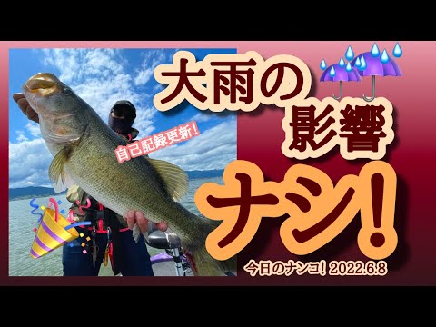 【今日のナンコ！2022.6.8】大雨の影響ナシ！【琵琶湖バス釣り】