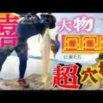 【秘密のガチ】いやいや、釣れ過ぎでしょ!!!!!!!【キス釣り】