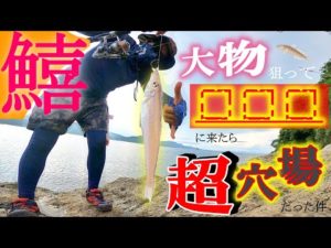 【秘密のガチ】いやいや、釣れ過ぎでしょ!!!!!!!【キス釣り】