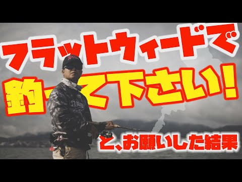 【琵琶湖バス釣り】フラットウィードで釣って下さい！と、お願いした結果