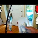 玄関のドア開けたら秒でバス釣りできる家がやばかったwww