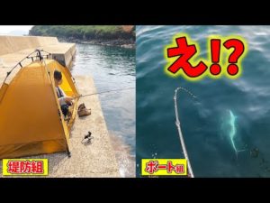 のんびり堤防釣り‼そして船から良型の真鯛が釣れた‼