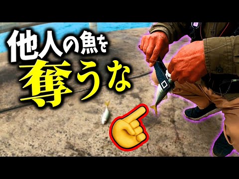 【釣り】他人が釣った魚を盗む乞食野郎が酷すぎる! 【釣りのマナー】