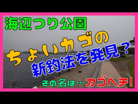 【ウキ釣り・カゴ釣り】（2022/5/20海辺つり公園)ちょいカゴの新釣法を発見しました。その名は「カゴヘチ」うまくハマれば破壊力バツグン？他の釣り場でも早く試したいです。
