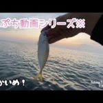 【石川県　釣り】５分未満のぷち動画！２回目！ライトゲーム編【北陸　釣り】