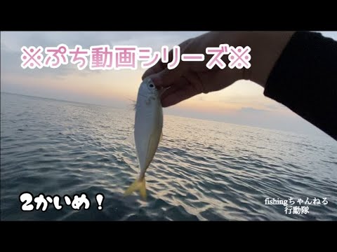 【石川県　釣り】５分未満のぷち動画！２回目！ライトゲーム編【北陸　釣り】